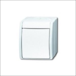 BUSCH-JAEG 2601/2 W-54 - Tweepolige schakelaar