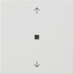 GIRA BEDE WIP P CTRLV S55 ZWIM