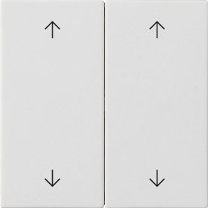 GIRA WIP 2V CTRLV S55 ZWWM 727