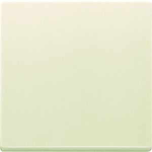 ABB BUSCH- 6735 BT-82 FOH-BEDIENINGSWIP ENKEL FUTURE