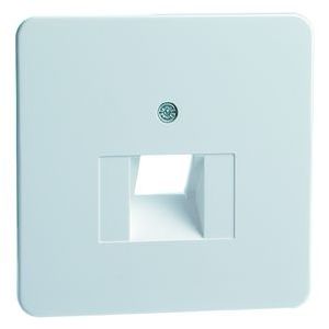 Peha | Centraalplaat voor UAE/Data wandcontactdoos | Standaard Glanzend Wit | 80.610.02 UAE/1-N